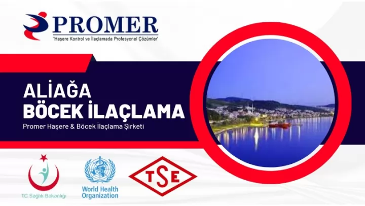 Aliağa Böcek İlaçlama