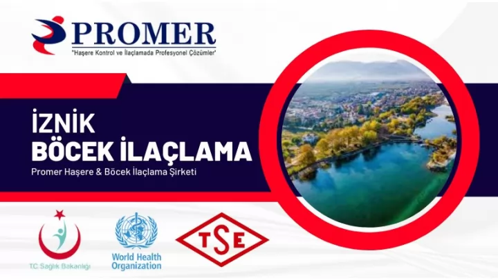 İznik Böcek İlaçlama