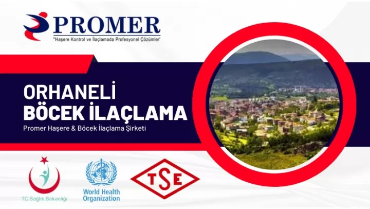 ORHANELİ Böcek İlaçlama