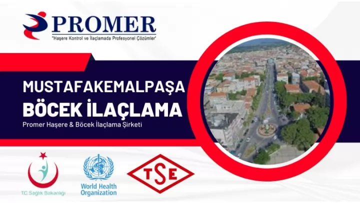mustafakemalpaşa Böcek İlaçlama