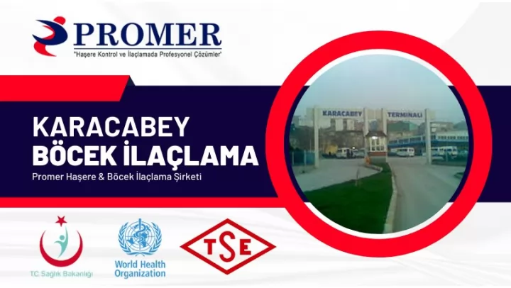karacabey Böcek İlaçlama
