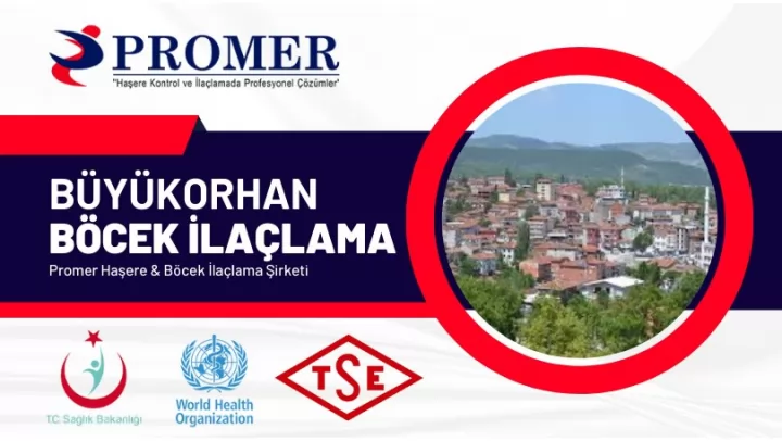 büyükORHAN Böcek İlaçlama
