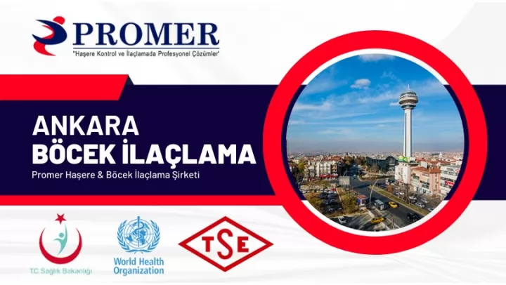 ANKARA BÖCEK İLAÇLAMA