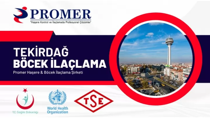 tekirdağ böcek ilaçlama