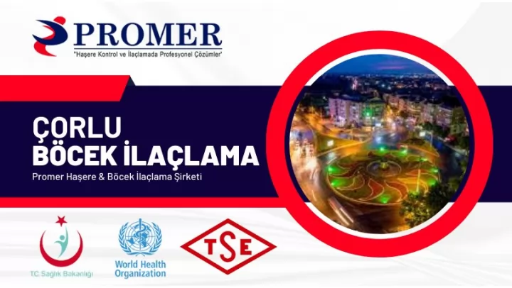 çorlu böcek ilaçlama