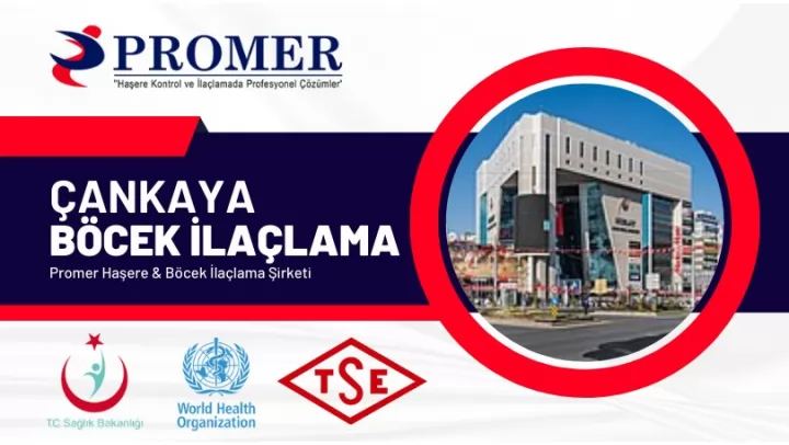 çankaya böcek ilaçlama