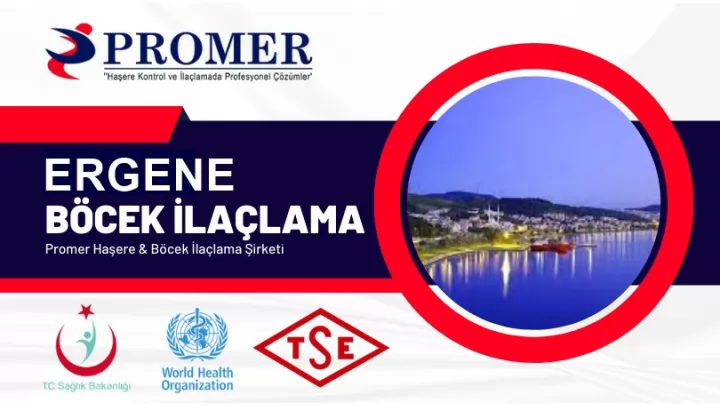 ERGENE BÖCEK İLAÇLAMA