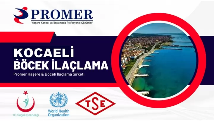 kocaeli böcek ilaçlama