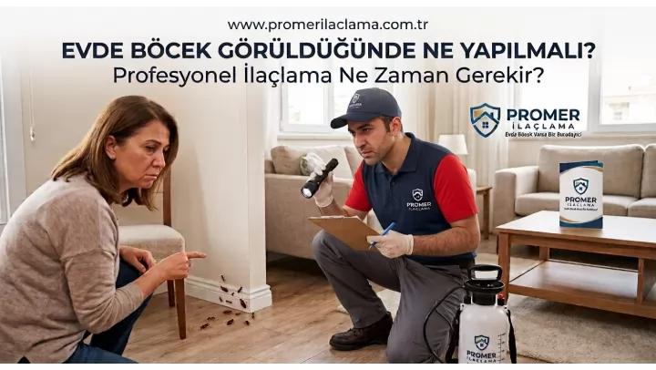 Evde Böcek Görüldüğünde Ne Yapılmalı? Profesyonel İlaçlama Ne Zaman Gerekir?