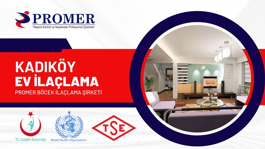 kadık&ouml;y ev ila&ccedil;lama